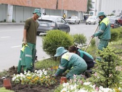 Ногоон байгууламж хариуцсан ажилчдын цалинг 3-3.5 сая төгрөг болгон нэмэгдүүллээ