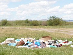 Туул гол орчмын хог хаягдлыг цэвэрлэж байна