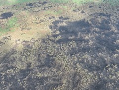 Сэлэнгэ аймагт гарсан 3 түймрийг цурамд оруулж, 1 түймрийг унтраахаар ажиллаж байна