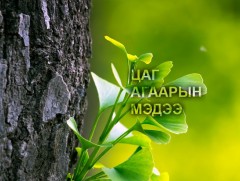 ЦАГ АГААР: Улаанбаатарт өдөртөө 29 хэм дулаан 