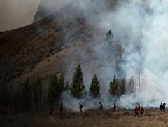 Он гарсаар  нийт 209 удаагийн ой, хээрийн гал түймэр бүртгэгджээ