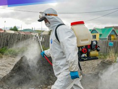 Сонгинохайрхан дүүрэг 700.000 м2 талбайд ариутгал, халдваргүйтгэл хийжээ