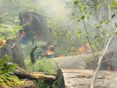 Түймрийн голомтод Онцгой байдал, мэргэжлийн ангийн 512 хүн ажиллаж байна