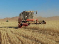 Ургац хураалтад иргэдийг сайн дурын үндсэн дээр оролцуулна