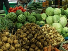 Ихэнх нутгаар гантай байгаагаас ургацын хэмжээ олон жилийн дунджаас буурах эрсдэлтэй байна