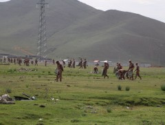 Оюутан цэргүүд Улиастайн ам орчмын 5км² талбайг цэвэрлэлээ