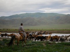 Малчны хүүхдийг их сургуульд үнэ төлбөргүй суралцуулна