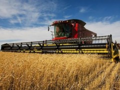 Хэнтий аймаг 18.9 мянган га талбайгаас 21.7 мянган тн, улаанбуудай хураан авах тооцоо гарчээ