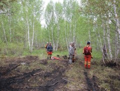 Сэлэнгэ аймгийн хэмжээнд ой хээрийн түймэр бүрэн унтарлаа