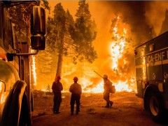 Байгалийн гамшгийн улмаас дэлхийн эдийн засагт 135 тэрбум долларын хохирол учирчээ 