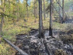 Завхан аймагт гарсан 3 ой, хээрийн түймрийг бүрэн унтраалаа