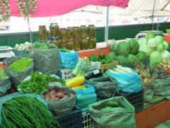 “Алтан намар-2025” төмс хүнсний ногооны өргөтгөсөн худалдаа эхэлжээ   