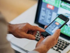 Хууль бус мөрийтэй тоглоом зохион байгуулдаг 3894 домэйн хаягийн хандах эрхийг хязгаарлажээ