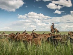 Хөдөө аж ахуйн салбар ирэх жил дөрвөн гол хөтөлбөрийг хэрэгжүүлнэ