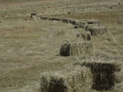 Б.Бат-Эрдэнийн гэр бүл жилд 10 мянган боодол өвс, байгалийн хадлан бэлтгэдэг байна 