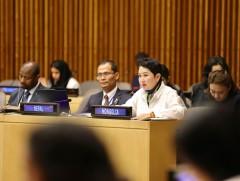 Далайд гарцгүй хөгжиж буй орнуудын Гадаад хэргийн сайд нарын уулзалт Нью-Йорк хотноо болов