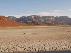 Цөлжилт, газрын доройтлыг бууруулахад бүс нутаг дахь хамтын ажиллагаа чухал ач холбогдолтой