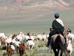 Баруун таван аймгаас гадна зарим аймагт өвөлжилт хүндрэх эрсдэлтэй байна