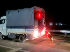 “Тархцын хяналт-2025” нэгдсэн арга хэмжээний хүрээнд 21 гэмт хэргийг илрүүллээ