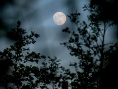 ЦАГ АГААР: Улаанбаатарт шөнөдөө 4 хэм хүйтэн