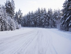 Өвлийн саруудын цаг агаарын ерөнхий төлөв