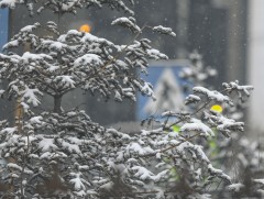 ЦАГ АГААР: Улаанбаатарт өдөртөө 8 хэм хүйтэн