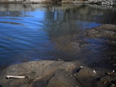 Туул голын усанд лабораторийн шинжилгээ хийлээ