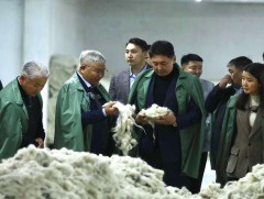 “Цагаан алт” хөтөлбөрийн үр дүнд анх удаа түүхий эдийн 50 хувийг дотоодын үйлдвэрлэгчид бэлтгэжээ