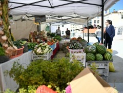 Сэлэнгэ аймгийнхан алтан намраа тэмдэглэлээ