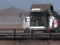 Байцаа, лууван, манжингийн ургац хураалт 80 орчим хувьтай үргэлжилж байна