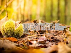 ЦАГ АГААР: Улаанбаатарт өдөртөө 14 хэм дулаан