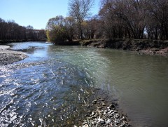 Х.Нямбаатар: Туул голыг ихээр бохирдуулж буй 80 ААН хуулиа мөрдөж, урьдчилан цэвэрлэх байгууламж б..