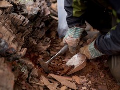 Газрын ховор элементийн хайгуулыг нэмэгдүүлж, уул уурхайгаа төрөлжүүлэх шаардлагатай