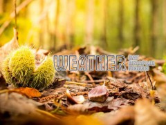 ЦАГ АГААР: Улаанбаатарт өдөртөө 2 хэм дулаан