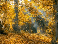 Ирэх 10 хоногт цаг агаар ямар байх вэ