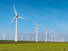 Сэргээгдэх эрчим хүчний хэрэглээ нүүрснийхээс давж, дэлхийн эрчим хүчинд голлох эх үүсвэр болжээ