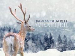 ЦАГ АГААР: Зарим нутгаар цас орж, зөөлөн цасан шуурга шуурна