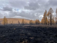Ой, хээрийн 4 түймрийг бүрэн унтрааж, 2 түймрийг унтраахаар ажиллаж байна
