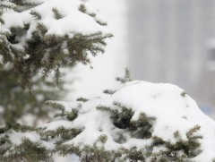 ЦАГ АГААР: Улаанбаатарт өдөртөө 9 хэм хүйтэн