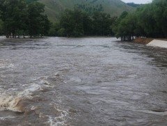 Хараа, Ерөө, Сэлэнгэ, Туул, Орхон голуудын усанд хүнд металлын агууламж их гарчээ