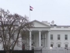 АНУ цагаачлалын хүсэлтийг шийдвэрлэх бүх үйл ажиллагааг түр зогсоов