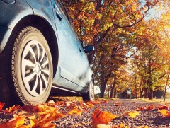 ЦАГ АГААР: Улаанбаатарт өдөртөө 9 хэм дулаан