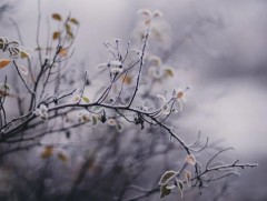 Арваннэгдүгээр сард төв, зүүн, говийн аймгуудын нутгаар олон жилийн дунджаас хүйтэн байна