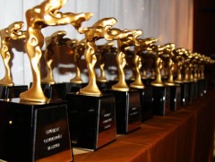 “Бөртэ чоно”-д нэр дэвшигчдийг албан ёсоор зарлалаа