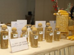 Хүнсний хувьсгалын хүрээнд 1.3 их наяд төгрөгийн зээл олгожээ 