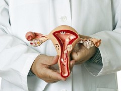 Манай улсад 2024 онд умайн хүзүүний хорт хавдраар 521 эмэгтэй өвдөж, 127 эмэгтэй энджээ 