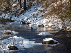 Ирэх 10 хоногт цаг агаар ямар байх вэ