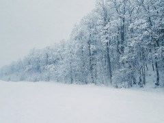 Ирэх 10 хоногт цаг агаар ямар байх вэ 