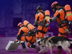 Аюулт үзэгдэл, ослын 48 хувь нь нийслэл хотод бүртгэгдсэн байна