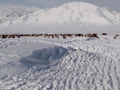Нийт нутгийн 70 хувьд цастай байна